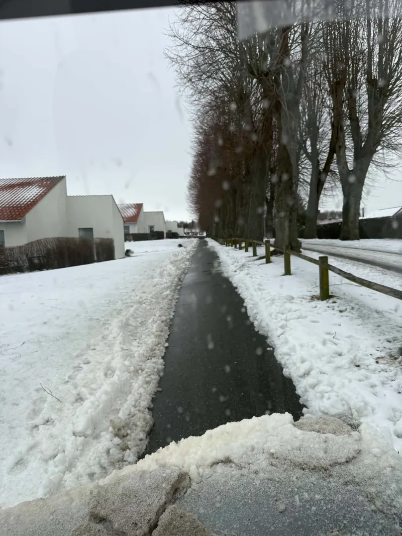 Ryddet gangsti med sne langs begge sider